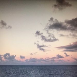 Meet your Posher, Cat